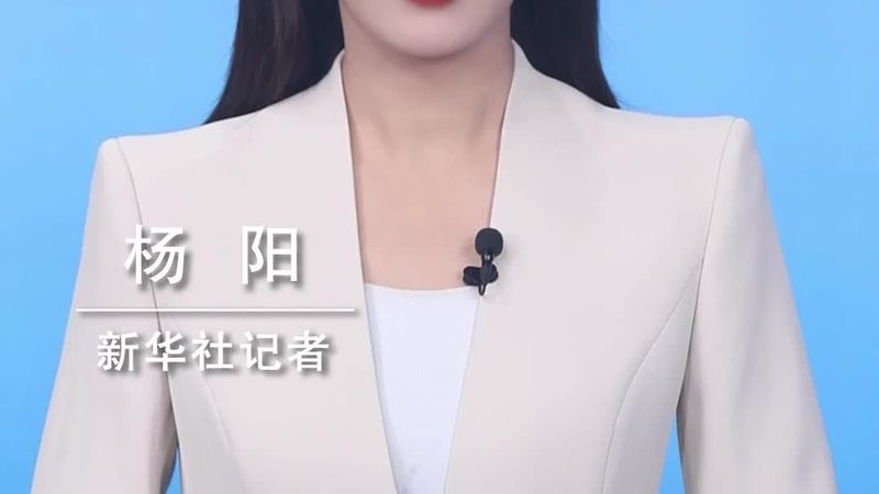 人工智能应用平台构建指南：从架构到实践**